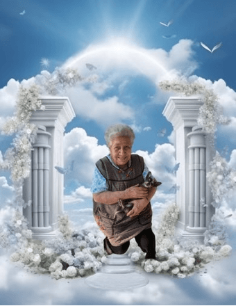 Maria Guadalupe Tafolla Obituary