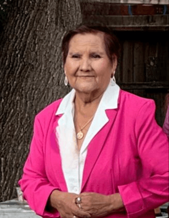 Ma Guadalupe Medina Santos Obituary
